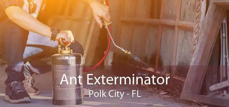 Ant Exterminator Polk City - FL