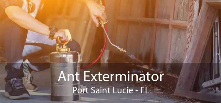 Ant Exterminator Port Saint Lucie - FL
