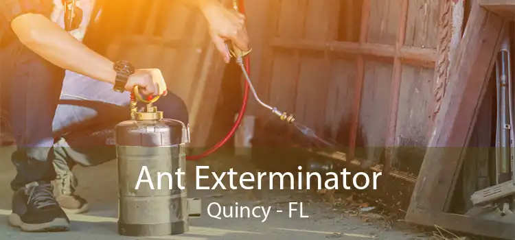 Ant Exterminator Quincy - FL