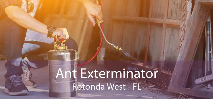 Ant Exterminator Rotonda West - FL