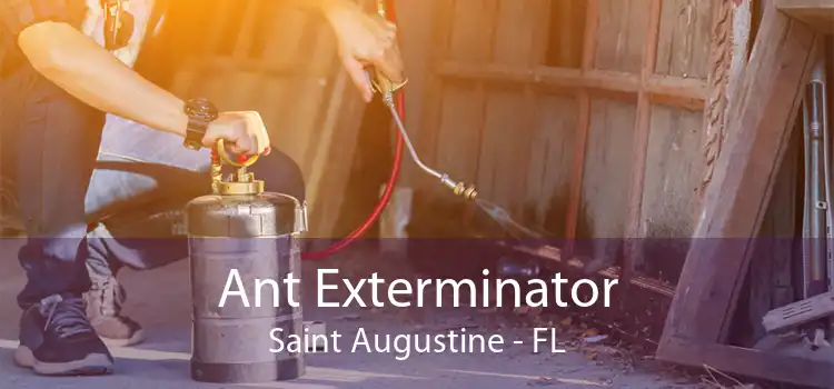 Ant Exterminator Saint Augustine - FL