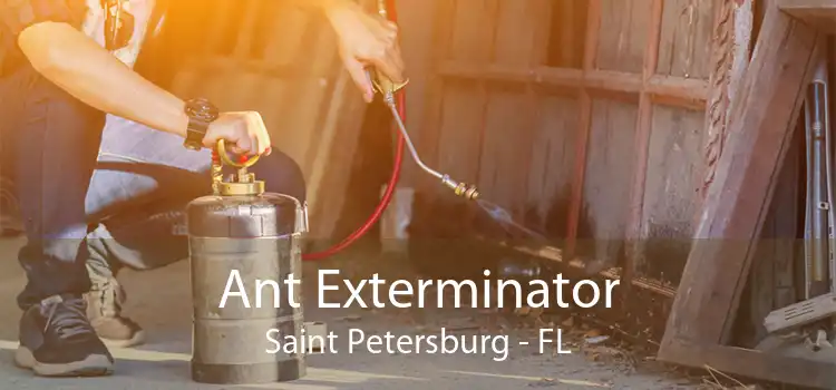 Ant Exterminator Saint Petersburg - FL