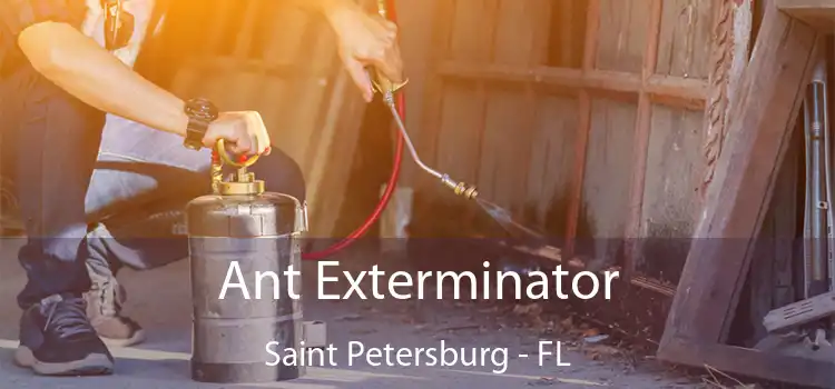 Ant Exterminator Saint Petersburg - FL