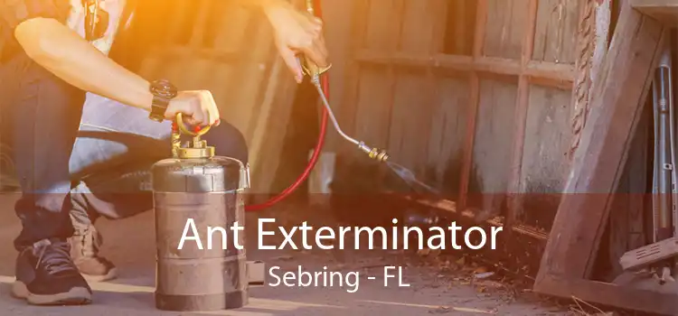 Ant Exterminator Sebring - FL
