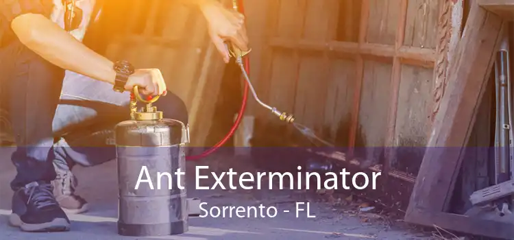 Ant Exterminator Sorrento - FL