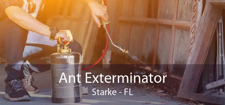Ant Exterminator Starke - FL