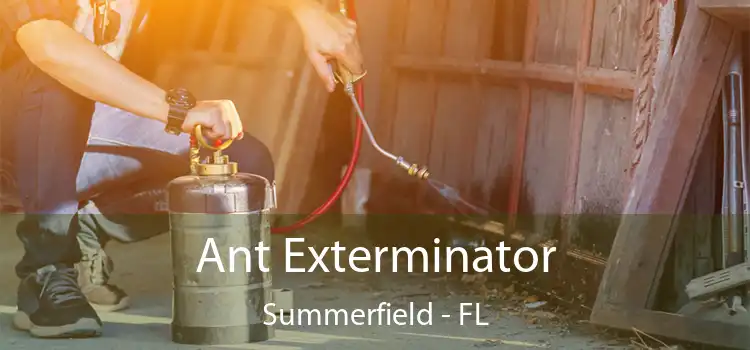 Ant Exterminator Summerfield - FL