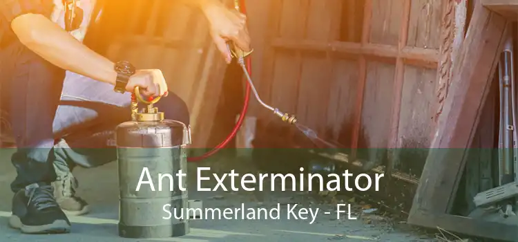 Ant Exterminator Summerland Key - FL