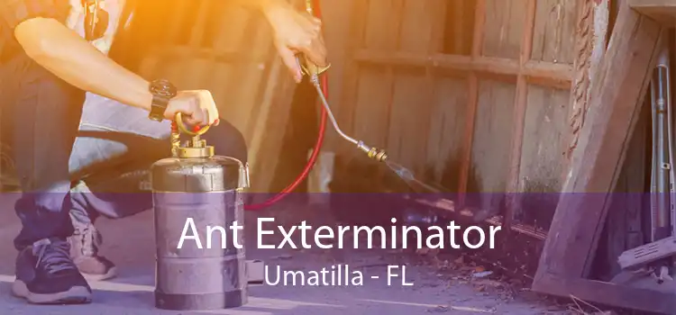 Ant Exterminator Umatilla - FL