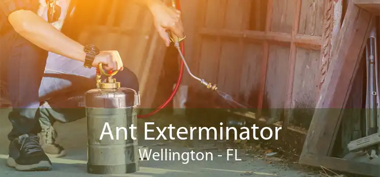 Ant Exterminator Wellington - FL