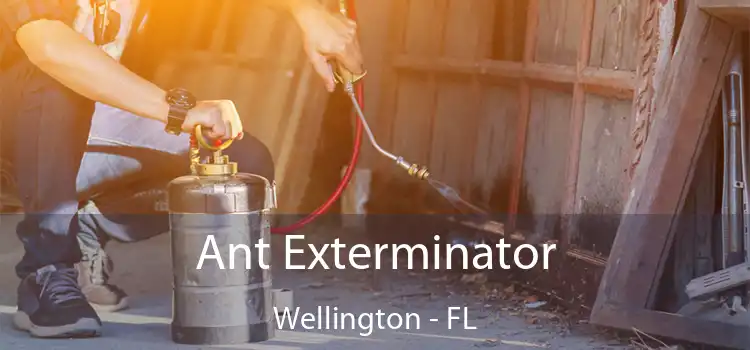 Ant Exterminator Wellington - FL