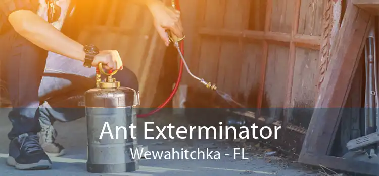 Ant Exterminator Wewahitchka - FL