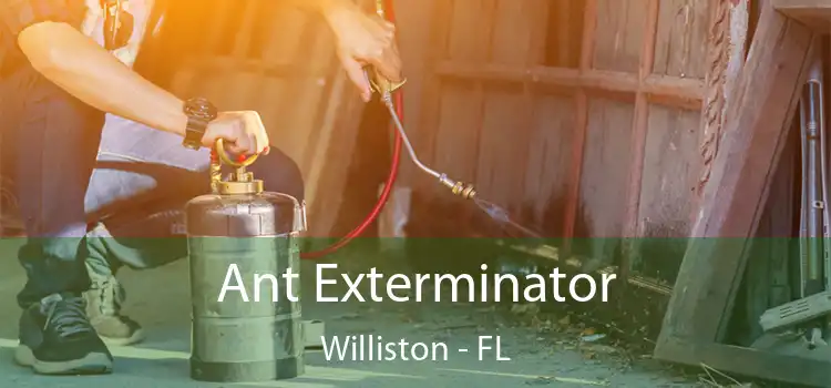 Ant Exterminator Williston - FL