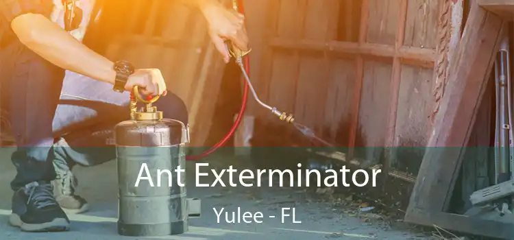  Ant Exterminator Yulee - FL