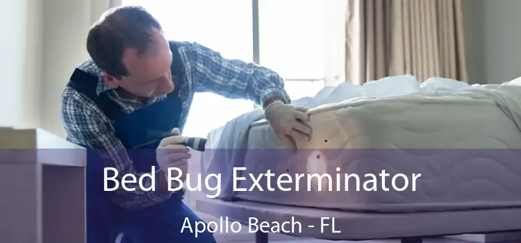  Bed Bug Exterminator Apollo Beach - FL