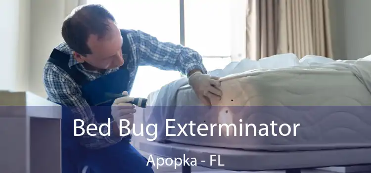  Bed Bug Exterminator Apopka - FL