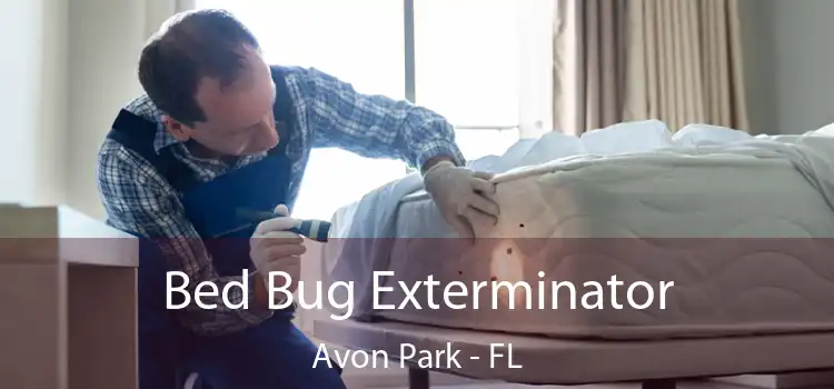  Bed Bug Exterminator Avon Park - FL