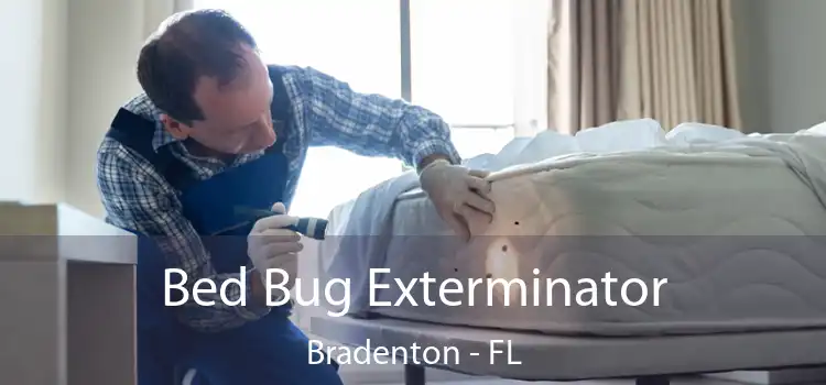 Bed Bug Exterminator Bradenton - FL