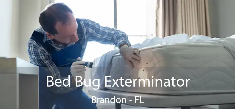  Bed Bug Exterminator Brandon - FL