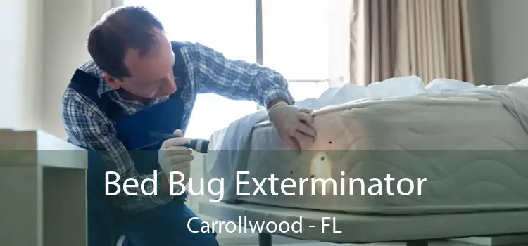  Bed Bug Exterminator Carrollwood - FL