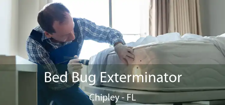  Bed Bug Exterminator Chipley - FL