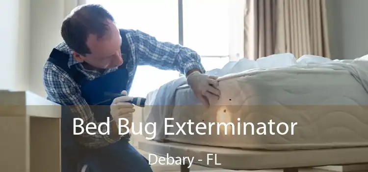  Bed Bug Exterminator Debary - FL