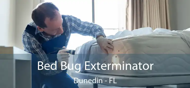  Bed Bug Exterminator Dunedin - FL