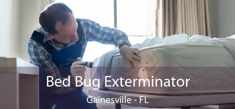  Bed Bug Exterminator Gainesville - FL