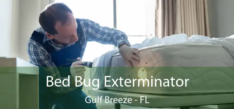  Bed Bug Exterminator Gulf Breeze - FL