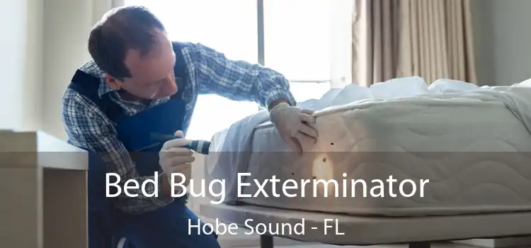  Bed Bug Exterminator Hobe Sound - FL