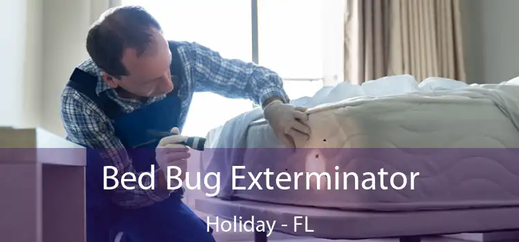  Bed Bug Exterminator Holiday - FL