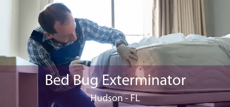  Bed Bug Exterminator Hudson - FL