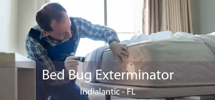  Bed Bug Exterminator Indialantic - FL