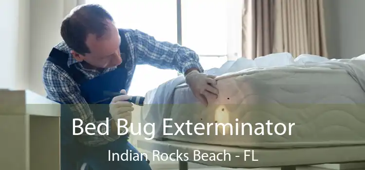  Bed Bug Exterminator Indian Rocks Beach - FL