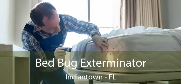  Bed Bug Exterminator Indiantown - FL