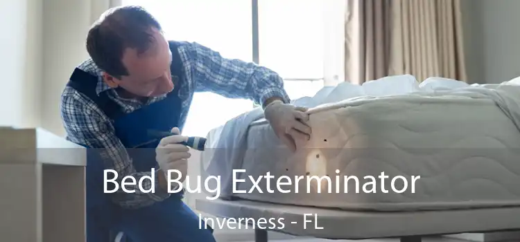  Bed Bug Exterminator Inverness - FL