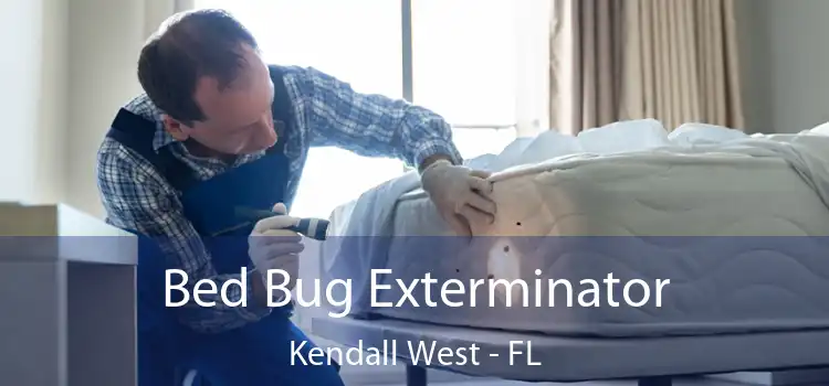  Bed Bug Exterminator Kendall West - FL