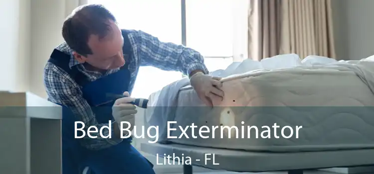  Bed Bug Exterminator Lithia - FL