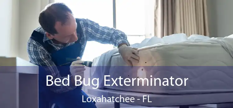  Bed Bug Exterminator Loxahatchee - FL