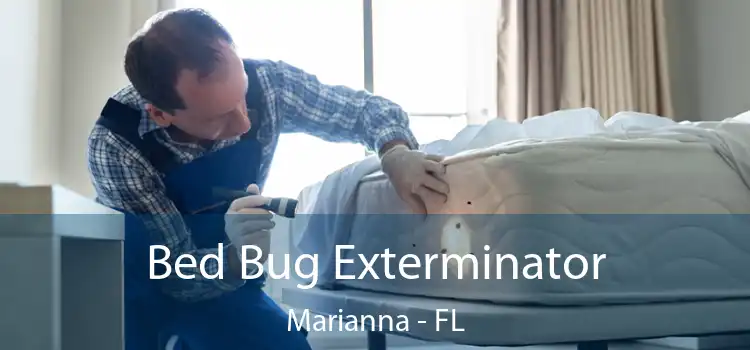  Bed Bug Exterminator Marianna - FL