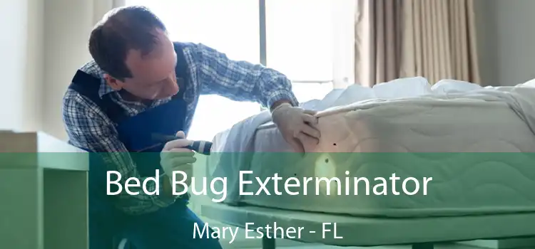  Bed Bug Exterminator Mary Esther - FL