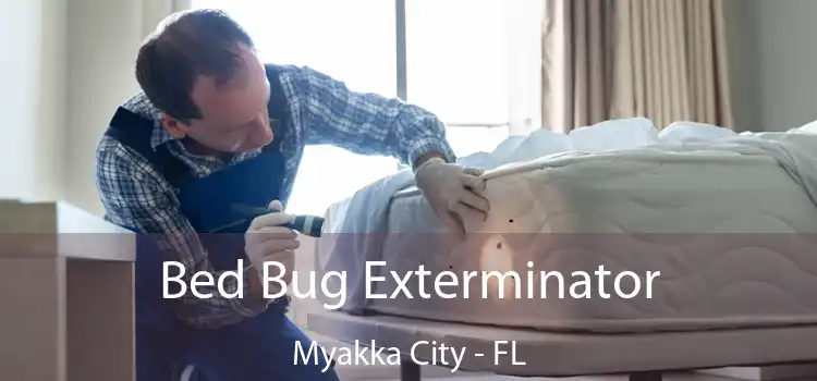  Bed Bug Exterminator Myakka City - FL