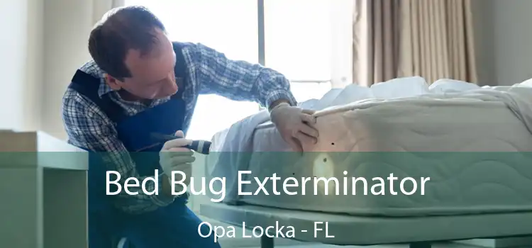  Bed Bug Exterminator Opa Locka - FL