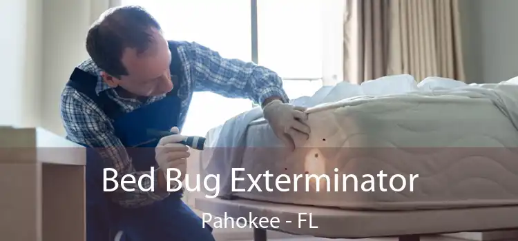  Bed Bug Exterminator Pahokee - FL