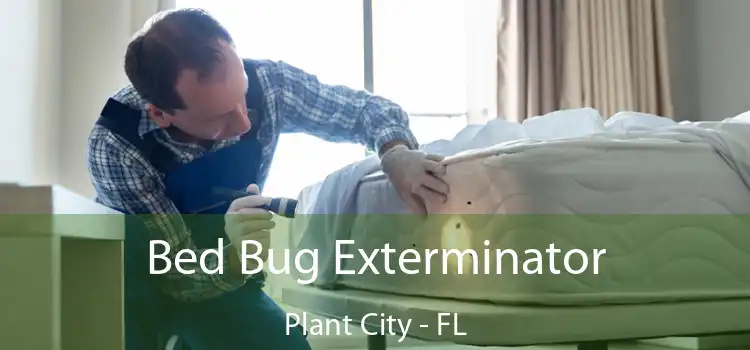  Bed Bug Exterminator Plant City - FL