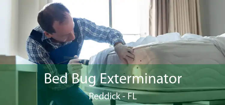  Bed Bug Exterminator Reddick - FL