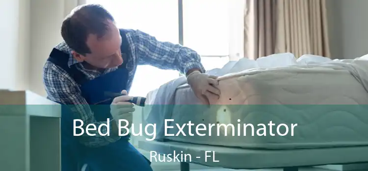  Bed Bug Exterminator Ruskin - FL