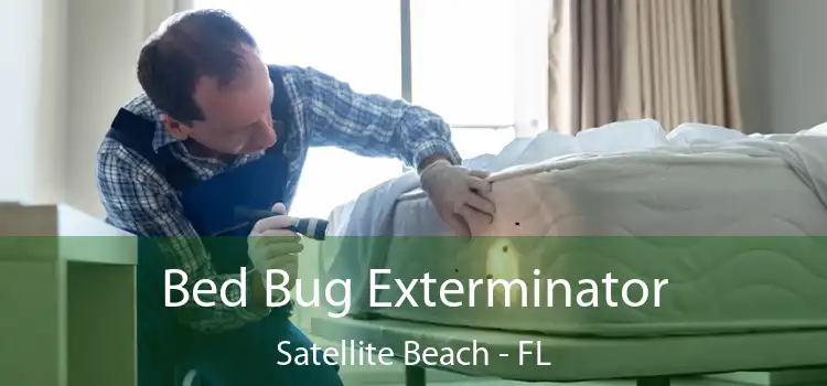  Bed Bug Exterminator Satellite Beach - FL