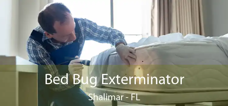  Bed Bug Exterminator Shalimar - FL