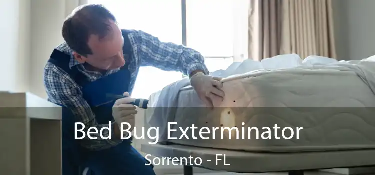  Bed Bug Exterminator Sorrento - FL